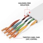 20m Cat6 Ethernet Cable - Image 2